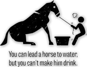 horsetowater250606